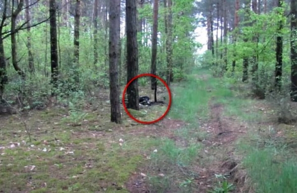 Брестчанин получил 23 года колонии за изнасилование и убийство жительницы Пружан