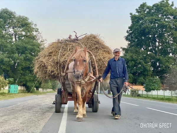 Пенсии в 2023 году собираются повысить трижды