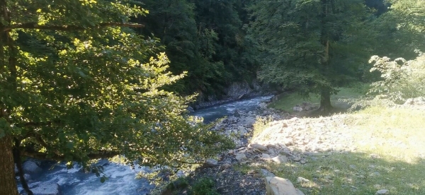 «Вдоль дороги — венки и памятники». Белорус в одиночку отправился в горы Грузии, где даже страховка не действует