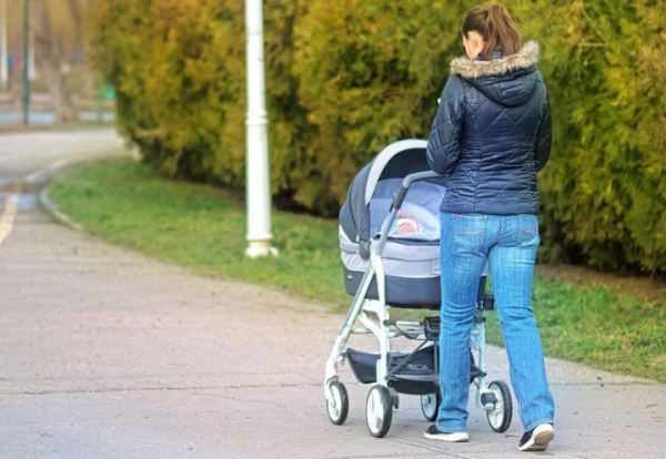 Какие пособия и в какой сумме получит ИП в декрете Какие пособия и в какой сумме получит ИП в декрете
